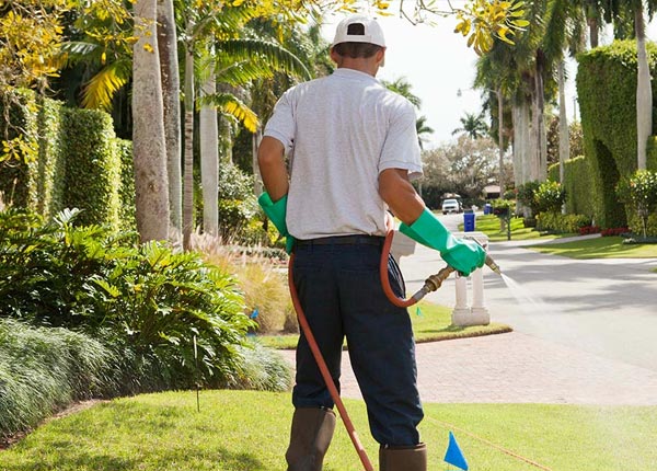 About Lost Springs WY Pest Control